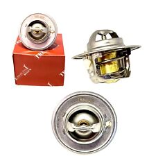 RELIANT KITTEN - REBEL  -