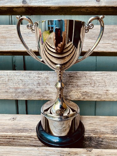 Silver trophy 75 - 🏆,