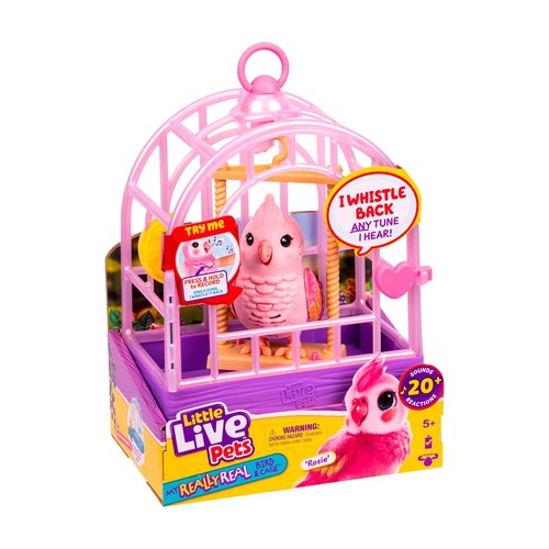 Little live pets really - little,