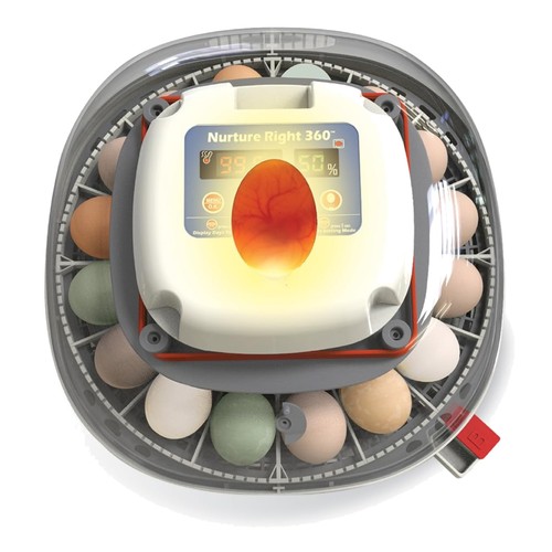 Humidity controlled egg - controlled,