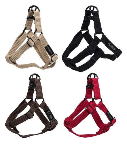 Gor pets puppy dog - puppy, step