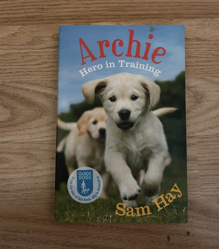Archie hero training sam - archie:, in