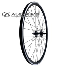 Alex AT550 700c 10x120 Rear