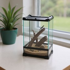 Glass reptile terrarium insect - glass,