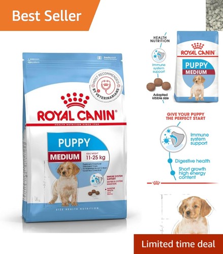 1kg gentle puppy - gentle, for