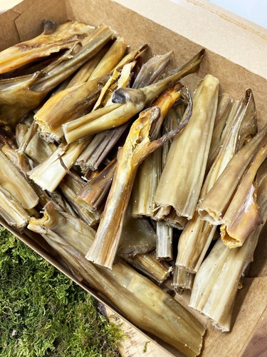 Rabbit skin chew box - skin,
