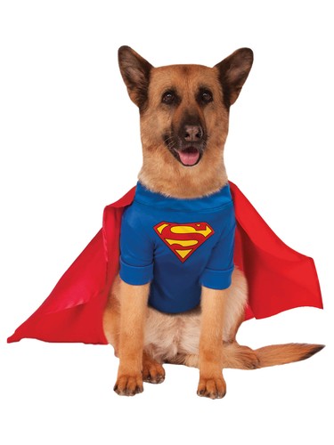 Superman dog costume superhero - superman,