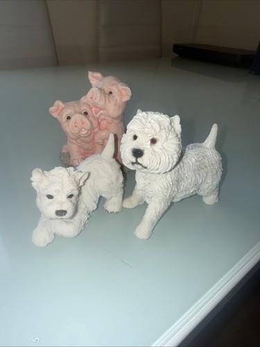 West highland terrier and pig - and,