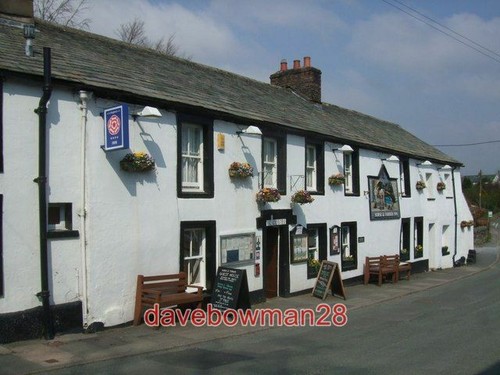 Photo horse and - photo, inn