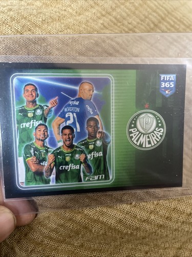 Palmeiras endrick team fifa - palmeiras,
