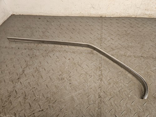 Rear left bright door moulding - rear,