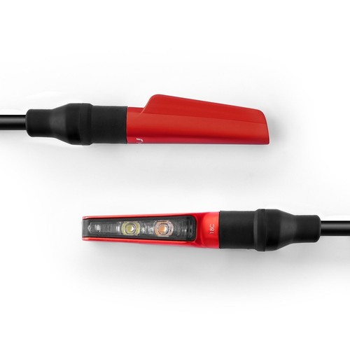 Rizoma corsa red - rizoma, indicators