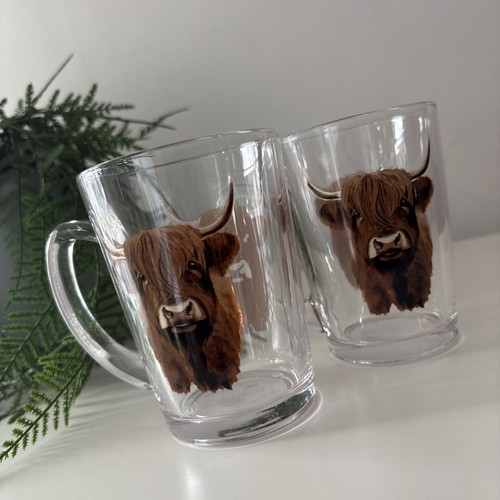 Pair highland cow - of,