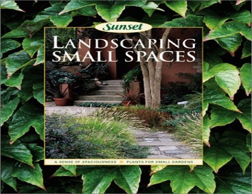 Landscaping small spaces - small,
