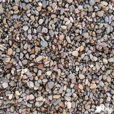 Decorative coloured pea - decorative,