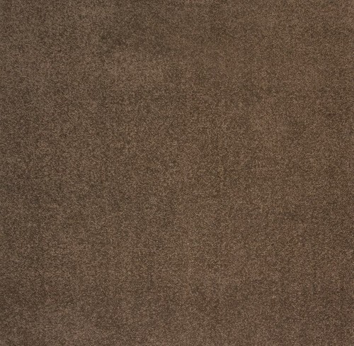 Chocolate brown dalton carpet - chocolate,