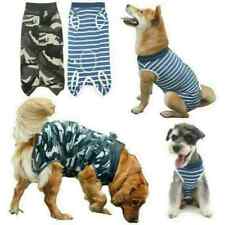 Pet Dog Recovery Suit