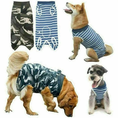 Pet dog recovery - pet, suit