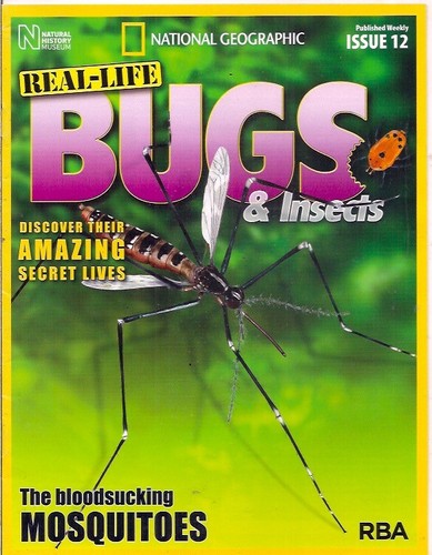 Real life bugs - bugs, &