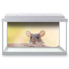 Fish Tank Background 90x45cm -