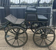 Pony Carriage Cart Horse Back to back Showing Driving Hartland?
