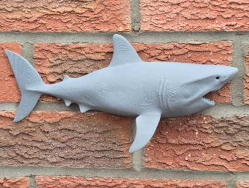 Great white shark - white, wall