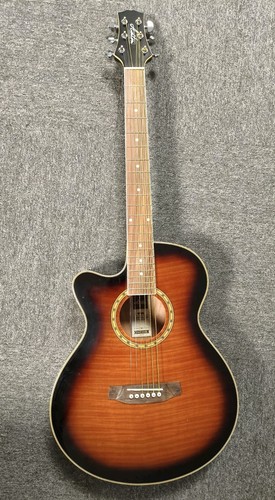 Ashton electro acoustic guitar - ashton,