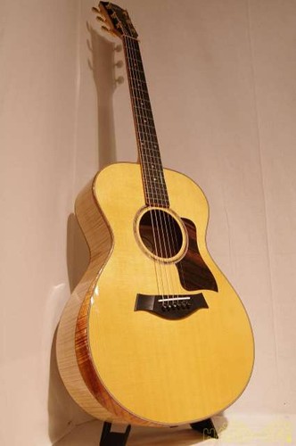 Taylor maple acoustic - maple, gc-e