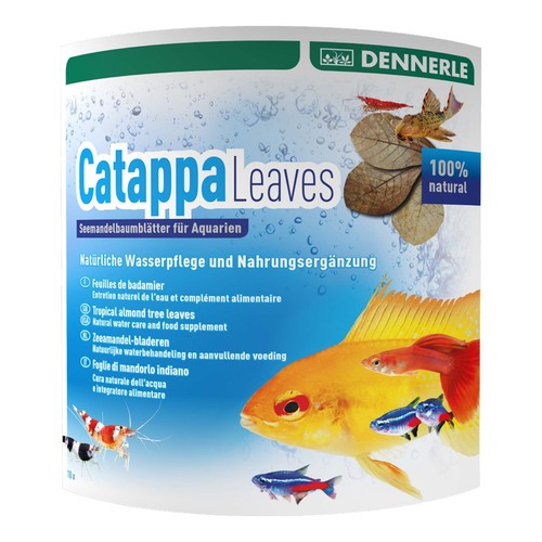 Dennerle catappa leaves large - dennerle,