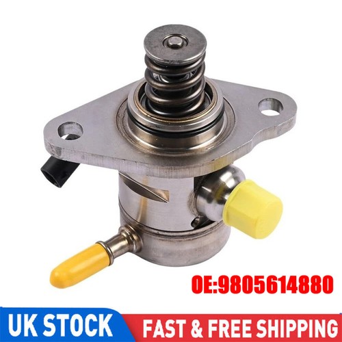 Petrol fuel high - pressure, pump