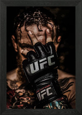 UFC Fighter Glove Framed Wall