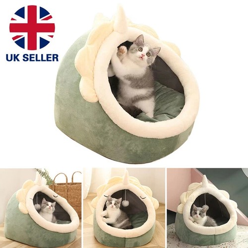 Pet cat warm soft - pet,