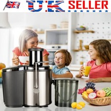 800W 500ML Juicer Machine