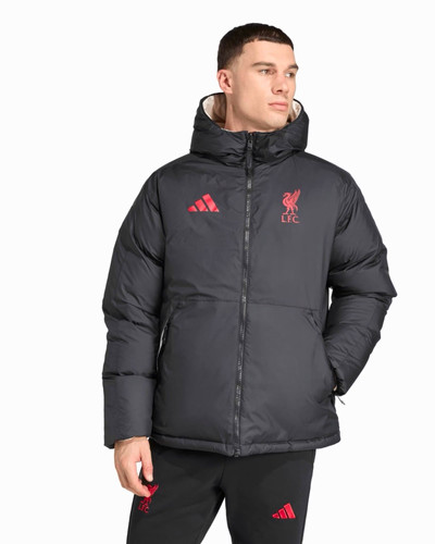 Adidas lfc liverpool - lfc,