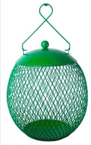 Endarius squirrel proof - -squirrel, bird