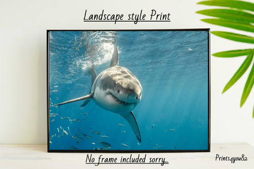 Great white shark - white,