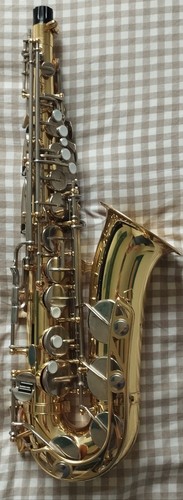 Yamaha yas21 alto sax - yas21,