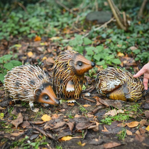Hedgehog family steel - hedgehog,
