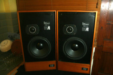 Pair Teledyne AR15 Full working order super condition Rubber woofer surrounds