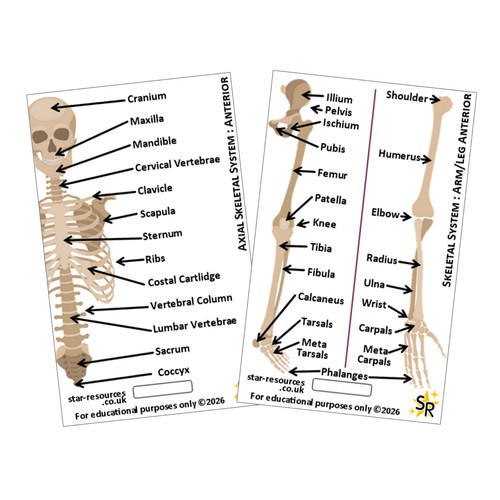 Skeletal system badge card - skeletal,