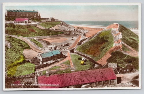Postcard vintage cat - , rppc