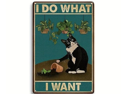 Cat poster what i - do,