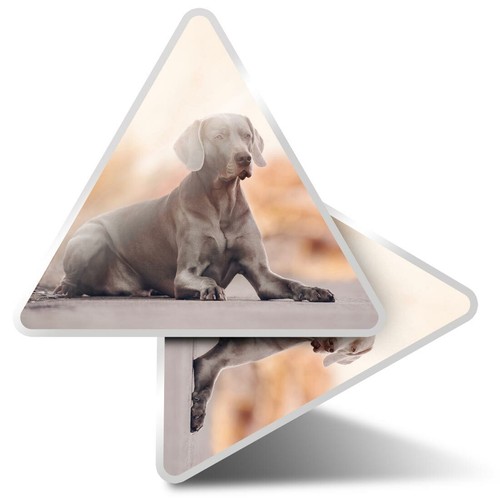 Triangle stickers 5cm - x, 7.5cm