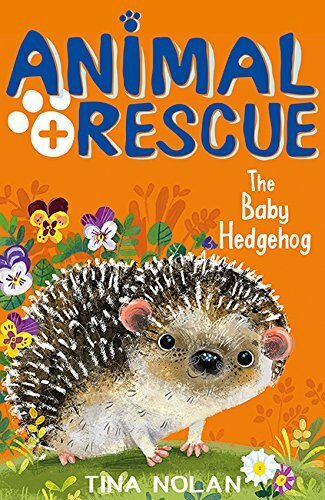 The baby hedgehog animal - baby,