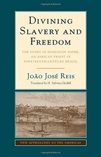 Divining Slavery and Freedom: The Story of Domingos Sodré, an African Priest in