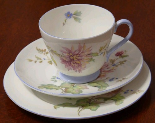 Shelley chrysanthemum tea - :, :