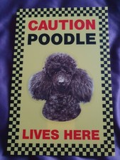CAUTION Poodle Lives Here sign