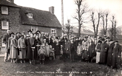 Coronation tree planting - coronation,