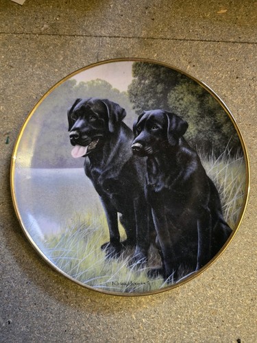 Franklin mint sporting - franklin,