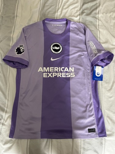 Brighton and hove albion - hove,